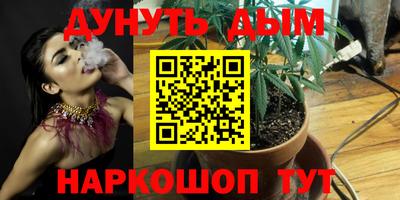 PSILOCYBIN Волжский