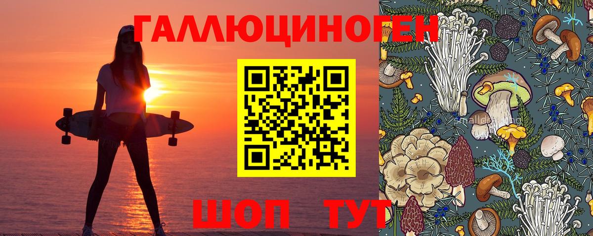Галлюциногенные грибы мухоморы  Вход с VPN  Шумерля 